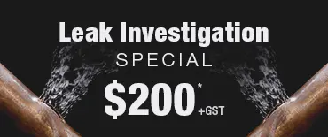 Leak Investigation Discount Shelly Park